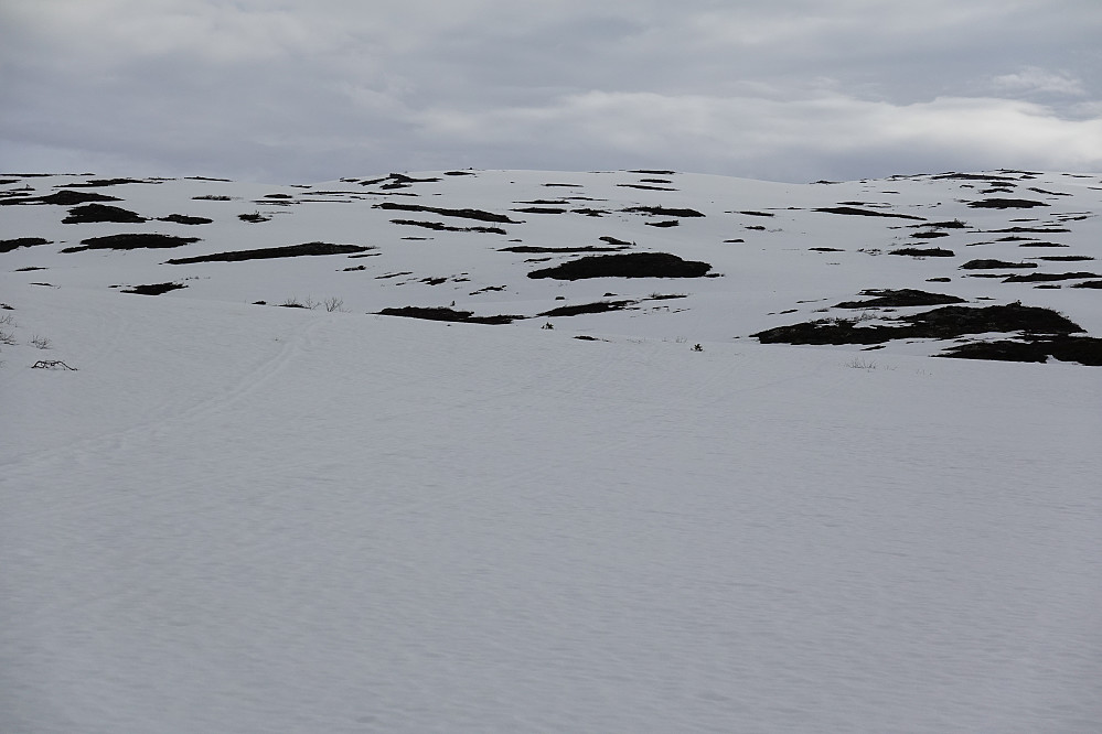 Mer enn nok snø oppover Lønsetfjellet/Skårsfjellet fra vest.
