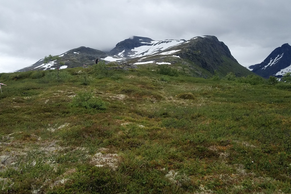 Etter de 900 første høydemeterne, dukker Torvløysa opp i det fjerne og det er 950 høydemeter til som må forseres.