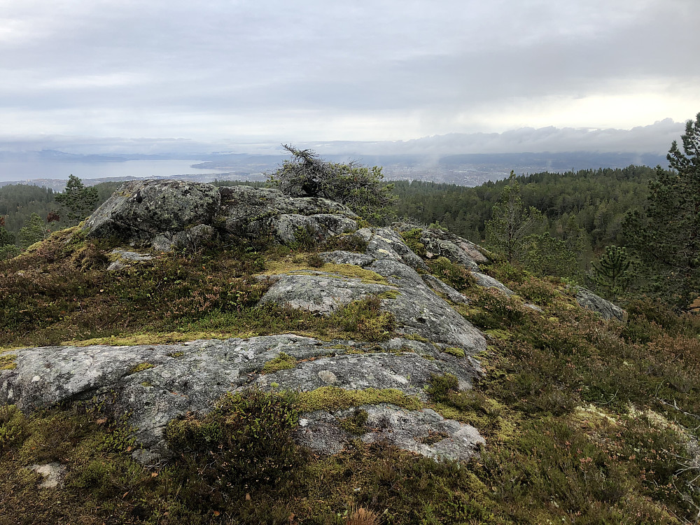 Geitfjellet nord, pf 2. 
