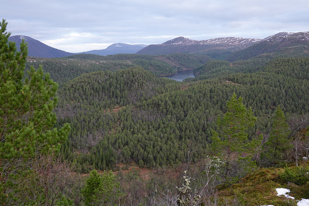 Fra Kringstadnakken retning nord.