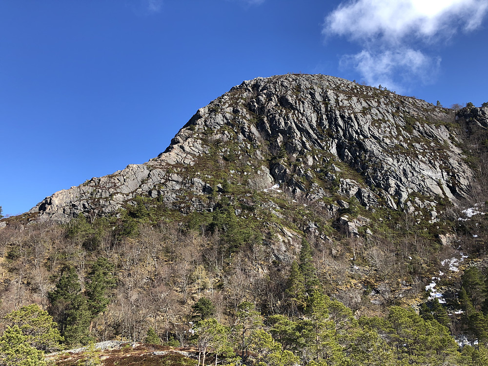 Sørvestryggen til Vardfjellet som skulle bestiges.