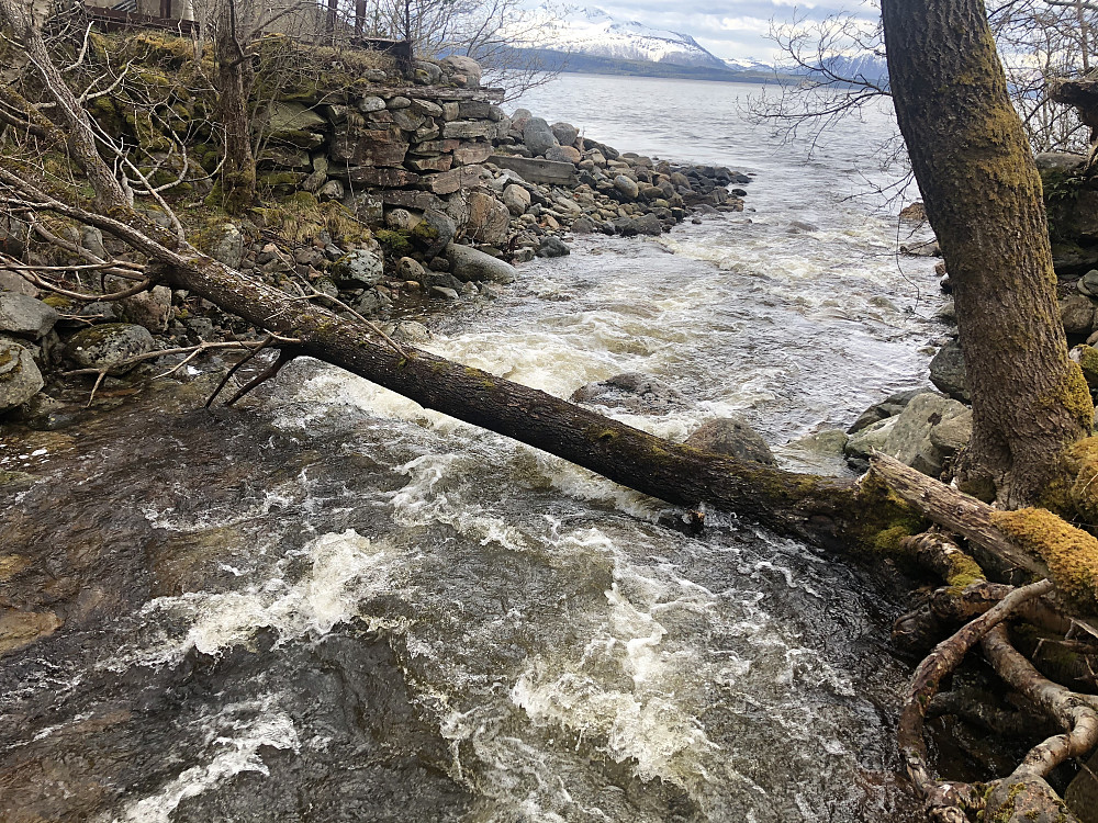Haukabøelva nederst ved fjorden. Eneste passasjemulighet var på et tre over elva.