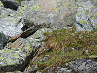 chsi_dscn2243.jpg