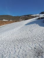 chsi_dscn2292.jpg