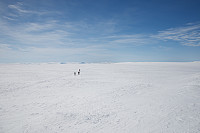 bakken59_20150525_5562fc4303a17.jpg