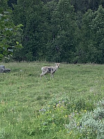bakken59_20210703_60e0b7cccf0e7.jpeg
