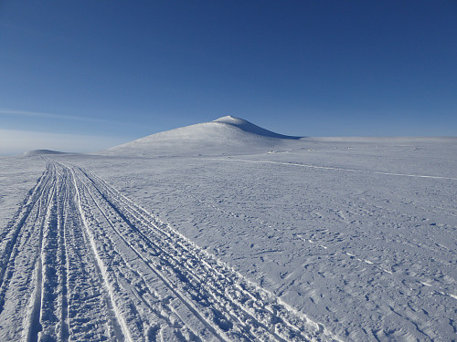 Veslhorrungen sett fra sør-øst