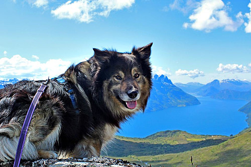 Liten pause for å titte utover Lotsbergdalen