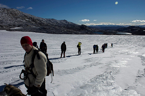 Begge taulagene på rad og rekke midt på breen