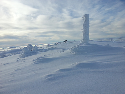 På Sjusjøfjellet