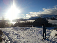 Flaksjølia