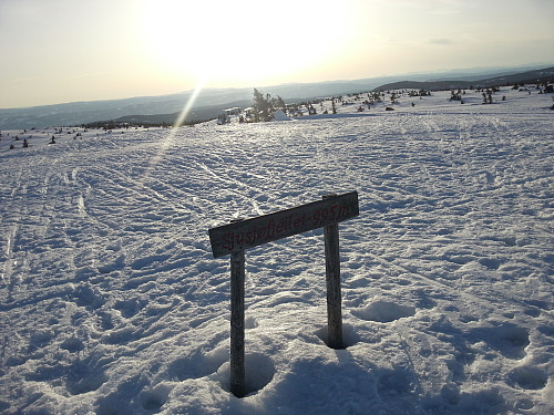 På Sjusjøfjellet