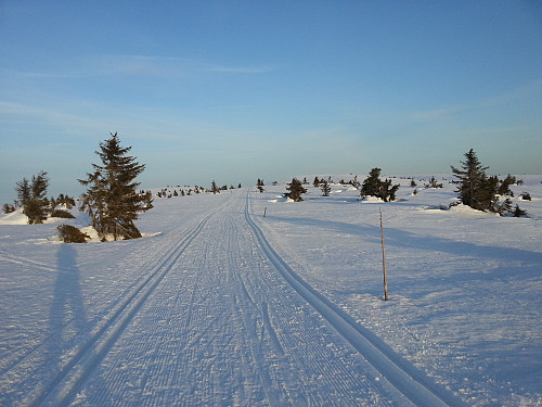 Mot Lunkefjell