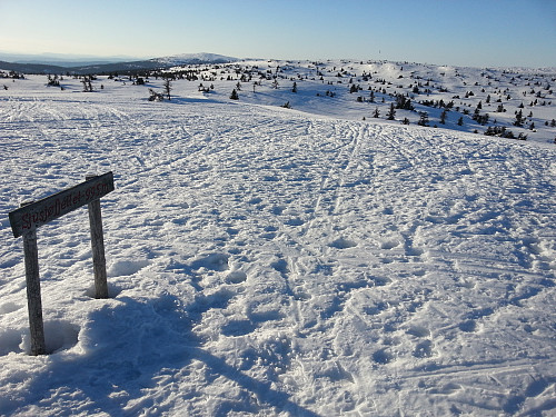 På Sjusjøfjellet