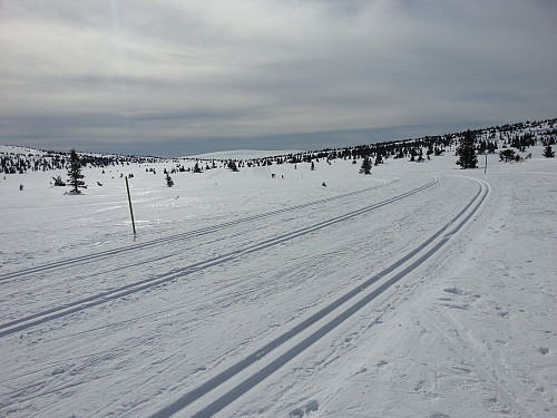 Venter på løperne og ser tilbake mot Nevelfjell
