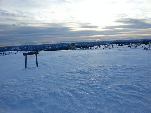 På Sjusjøfjellet