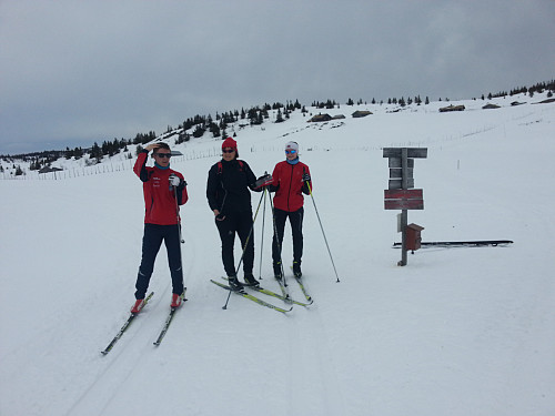 Ved løypekrysset på Ringasetra. Snøen har sunket litt