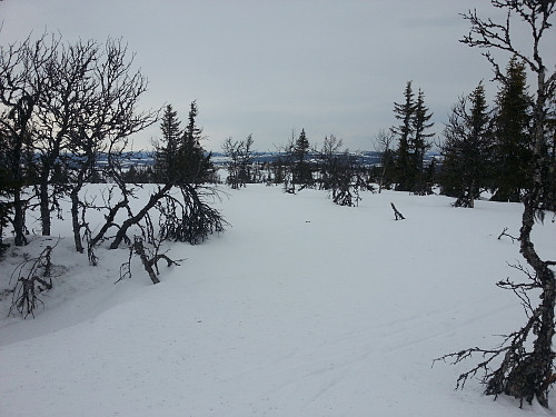 På Værskeitoppen