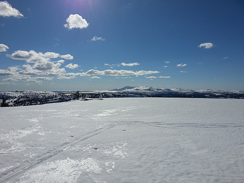 Mot Synnfjellet