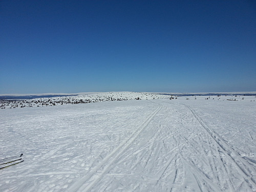 På Mostfjellet, utsikt mot Snørvillen