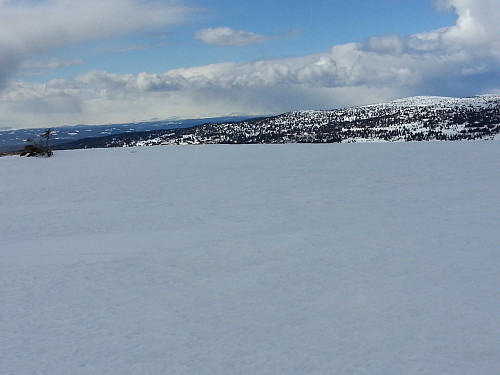 På Mostfjellet