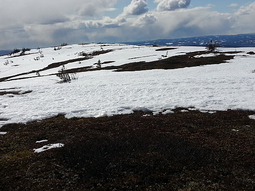 På Sollifjellet