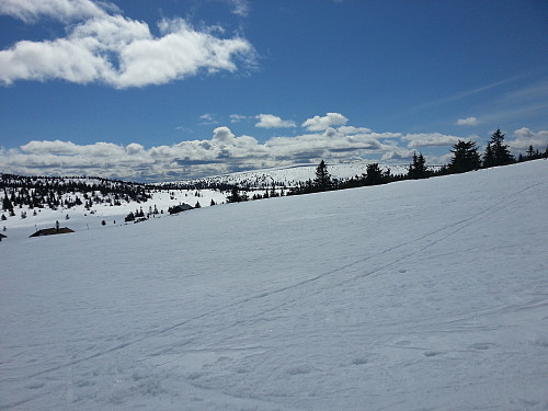 Ved setrene på Gjestebodåsen, Snørvillen bak