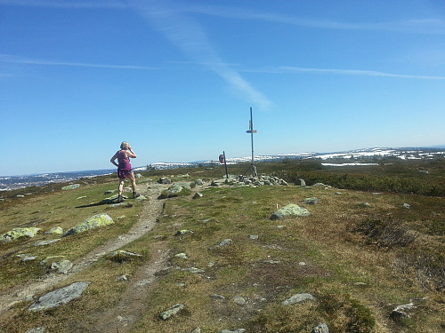 Anne Grete på Lunkefjell