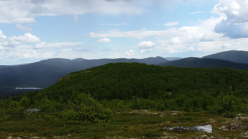 Mjødokkberget 