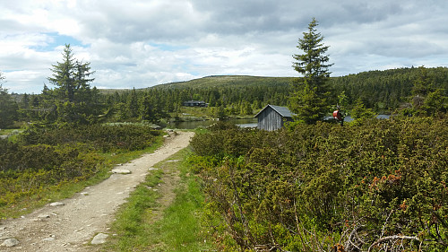 Ved Nevelosen med kassa og Nevelfjell