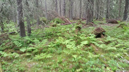 På Tjernshaugen var det ikke mye utsikt