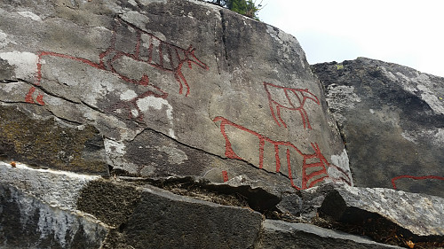 Helleristningsfeltet Drotten