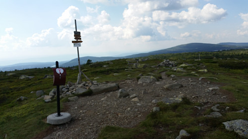 På Lunkefjell - litt disig i dag