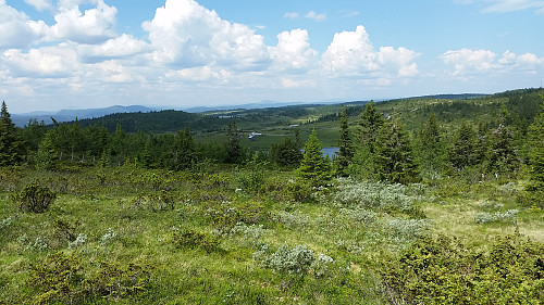 Nysetra