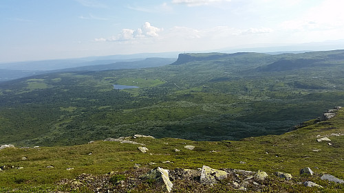 På vei ned i skaret mellom Vestre og Midtre Bånseterkampen. Utsikt mot utgangspunktet og Skeikampen
