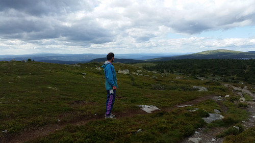 På Lunkefjell