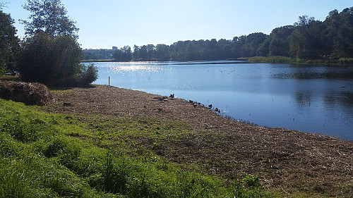 I Hagaparken