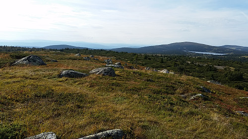På Høgfjellet