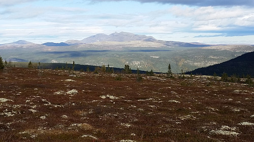 Utsikt mot Rendalssølen