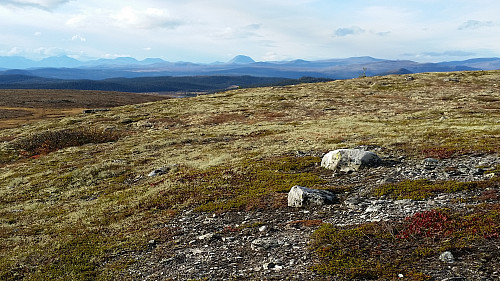 Mot Rondane og Store Sølnkletten