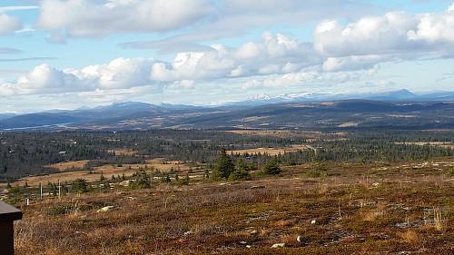 Flott på Hærfjellet i dag