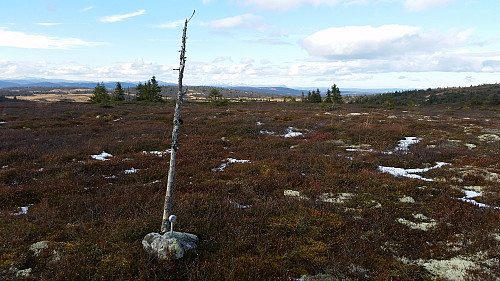 Litt snø i terrenget på Søre Hærfjellet