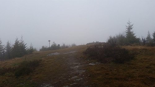 Grått på toppen