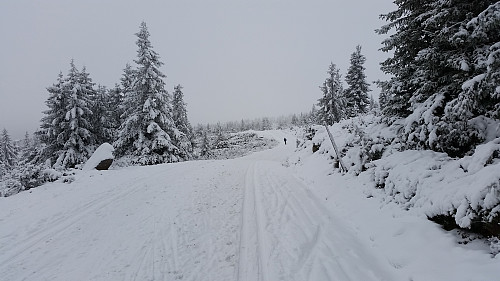 Nesten på Nevelåsen