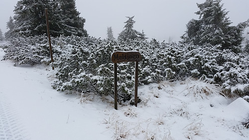 Grått ved Melsjøen