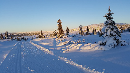 Mot Sjøsetra