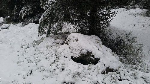 På Kanthaugen