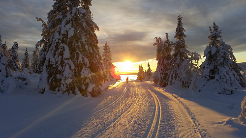 Nedover fra Gjestebodåsen