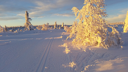 Stemningsfullt