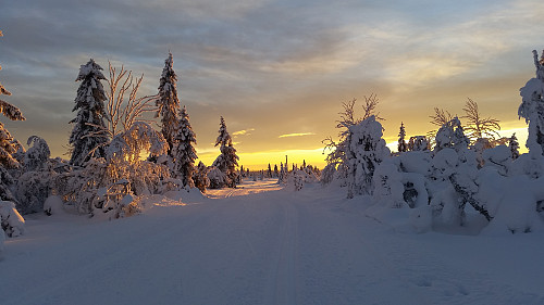I løypa mot Kroksjøen